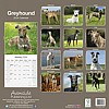 Greyhound Calendar